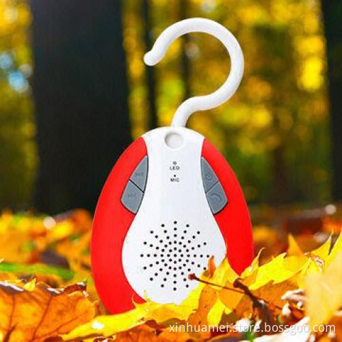 Wireless Bluetooth Mini Speaker with FM Radio
